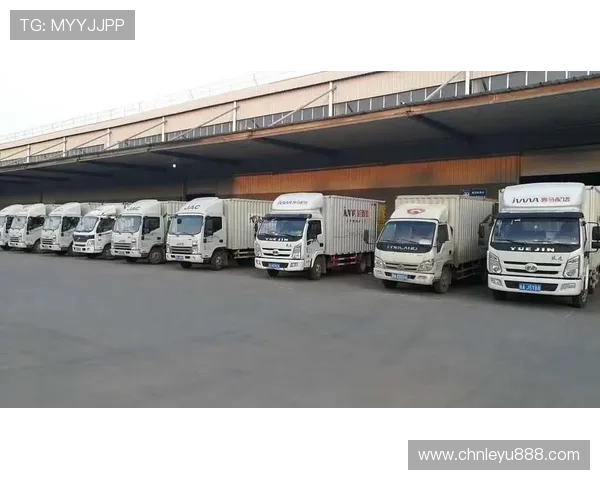 乐鱼app官方旗舰店怎么样的物流体系和配送效率值得信赖