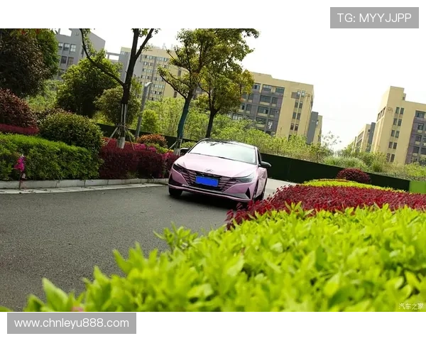 乐鱼下载注册技巧分享：提升你的游戏下载速度与注册成功率的实用方法