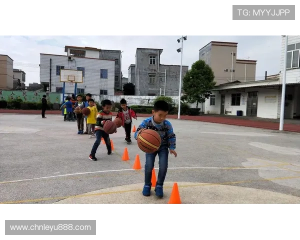 乐竞体育：创新体育培训模式，打造专业化、多元化的青少年体育培训平台