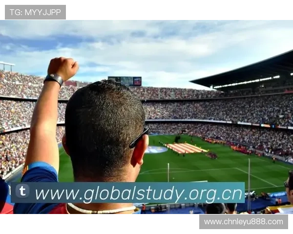 乐鱼体育真人国际：享受高清流畅的体育直播与互动体验