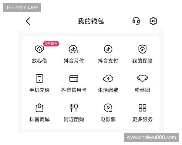 乐鱼官网平台的支付方式多样化，便捷的充值提现流程满足不同用户需求