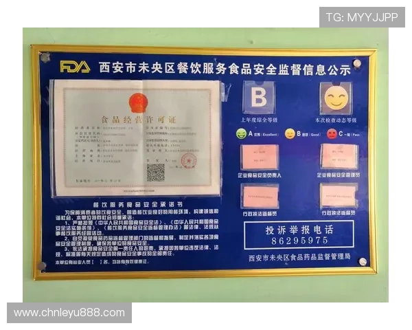 乐鱼国际首页网站安全保障措施详解，确保玩家账号信息与资金安全无忧