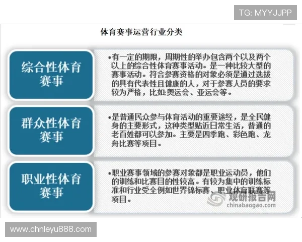 乐鱼平台与大巴黎合作的背后故事，探索跨国体育营销的新趋势与策略