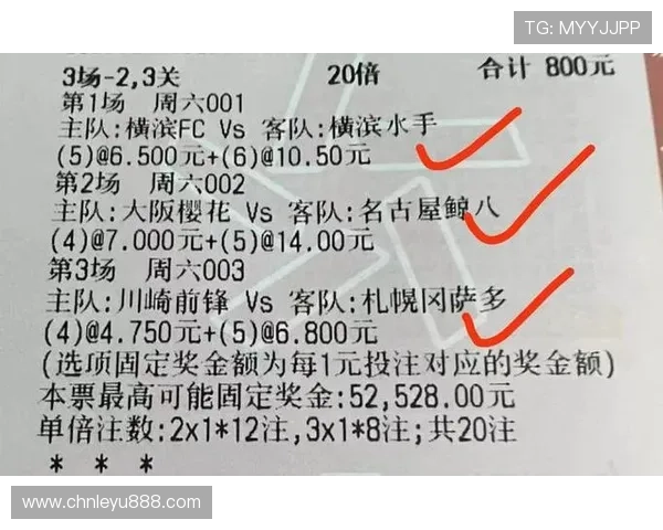乐鱼足彩帮助用户轻松掌握不同赛事的投注策略实现收益最大化
